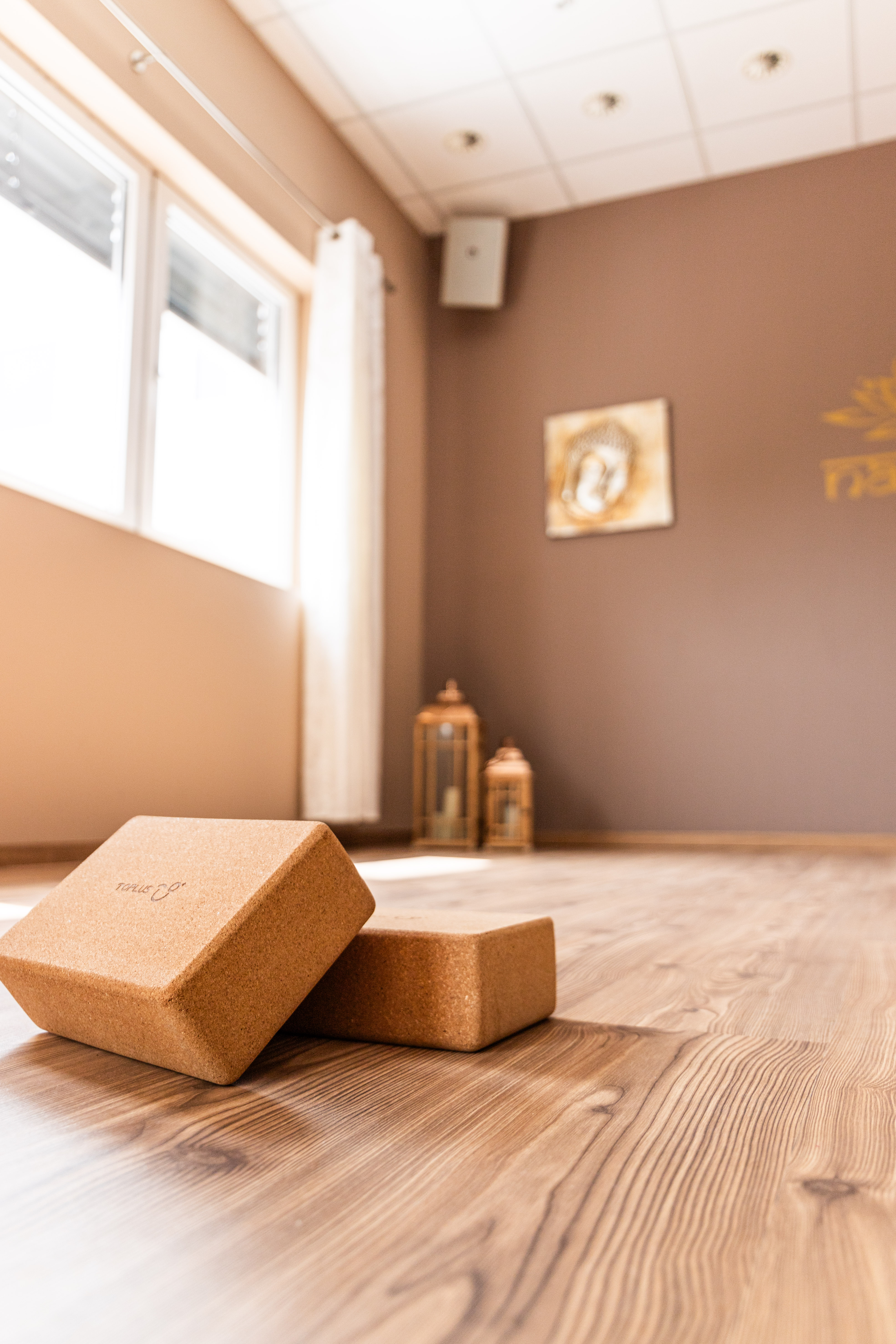 Vinyasa Yoga